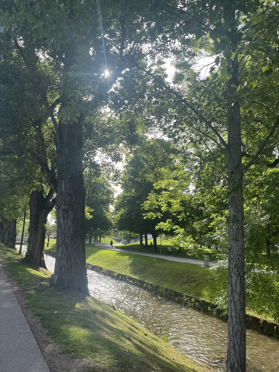 A sunny park by the stream